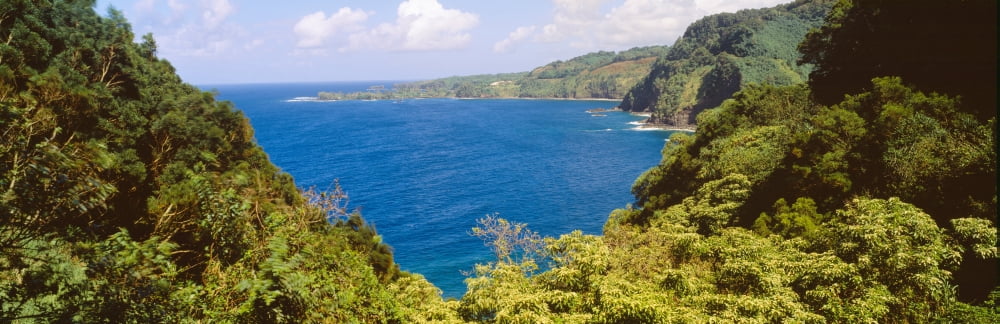 Ocean view from the road to Hana Maui Hawaii Canvas Art - Panoramic Images (27 x 9)