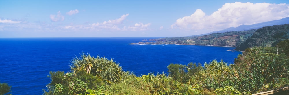 Ocean view from the road to Hana Maui Hawaii Canvas Art - Panoramic Images (27 x 9)
