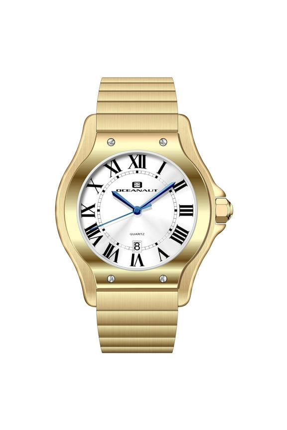 Men's Rayonner Silver Dial Watch - OC1394