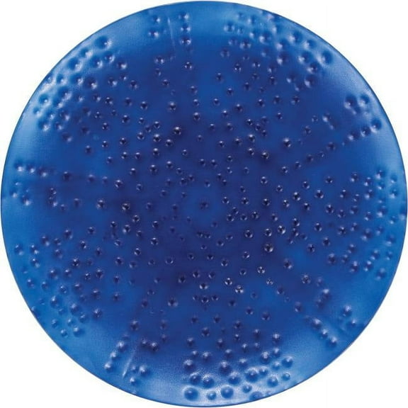 Oceanic Blue 10-inch Plastic Plates 12 Per Pack