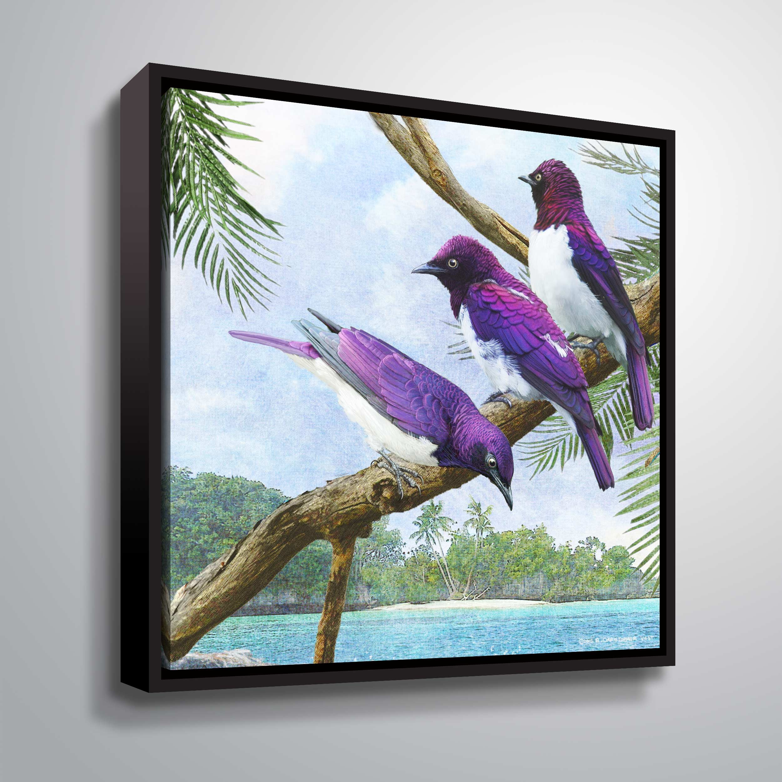 Oceanside Purple Starlings