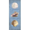 thumbnail image 1 of Oceanum Shell Panel Blue I Poster Print by Tara Reed (10 x 20), 1 of 1