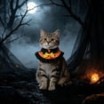 thumbnail image 1 of Oceanwell Halloween Pet Cape Collar Adjustable Cat Dog Witch Bandana With Bow Pumpkin Bat Print Decorative Ruffled Pet Neck Scarf For Cats Small Dogs, 1 of 5