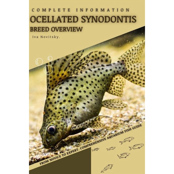 Ocellated Synodontis : From Novice to Expert. Comprehensive Aquarium Fish Guide (Paperback)