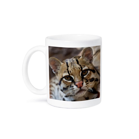 3drose, Ocelot, Dwarf Leopard, Endangered Species, Captive - Us44 Ldi1022 - Larry Ditto, 11oz Mug
