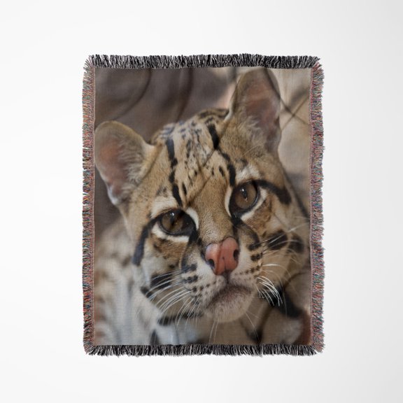 Ocelot, Dwarf Leopard, Endangered Species, Captive - Us44 Ldi1022 - Larry Ditto, Woven Blanket