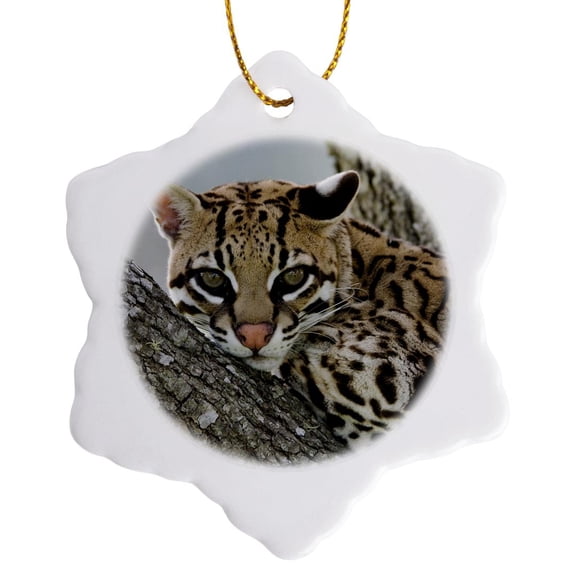 3drose, Ocelot, Mesquite Tree, Welder Wildlife Refuge, Tx - Na02 Rnu0218 - Rolf Nussbaumer, 3 inch Snowflake Porcelain Ornament