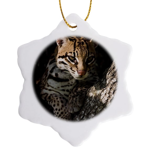 3drose, Ocelot, Mesquite Tree, Welder Wildlife Refuge, Tx - Na02 Rnu0718 - Rolf Nussbaumer, 3 inch Snowflake Porcelain Ornament