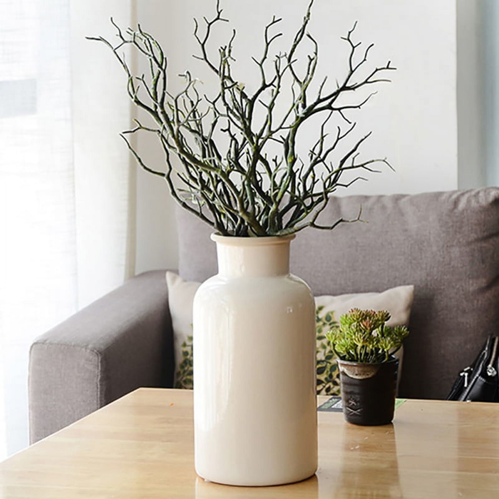 Dried Decorative Branches for Vase Scandinavian Decor Tall