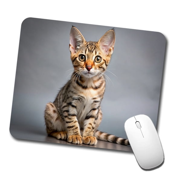 Ocicat Cat Kitten Photo Mouse Pad Low Profile Gaming Mat