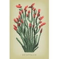 thumbnail image 1 of Ocotillo, Vintage Flora (9x12 Wall Art Print, Home Decor), 1 of 3