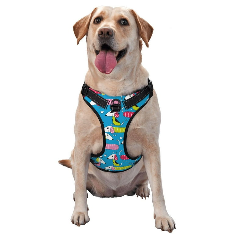 Dachshund service dog vest shop
