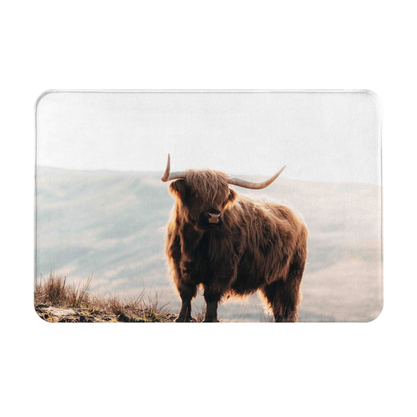 Highland Cow Doormat - 17x29 Inch Indoor/Outdoor Entrance Mat With Non-Slip Backing For Kitchen, Bathroom, Porch