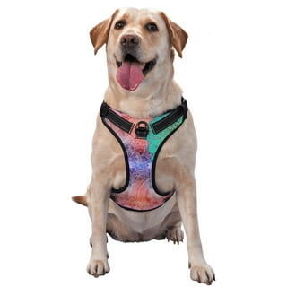 Service Dog Vest
