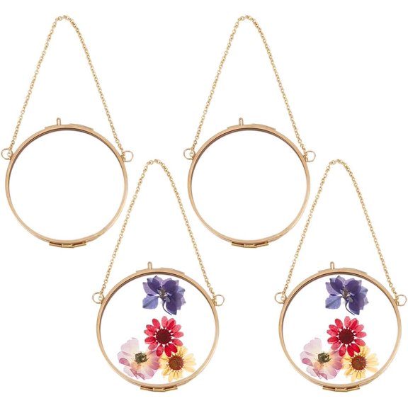 Octagon Brass Glass Hanging Photo Frame for Dried Plant Specimen Pressed Flowers Flat Round Raw(Unplated) 262mm