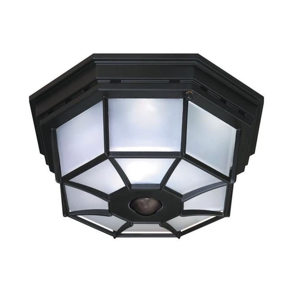 Octagonal Motion Light