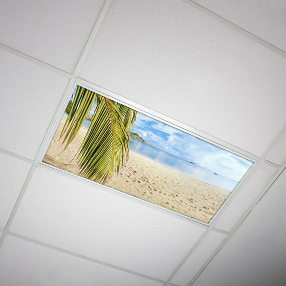 Octo Lights - Fluorescent Light Covers - 2x4 Flexible Ceiling Light Filters - For Classrooms and Offices - Beach 004