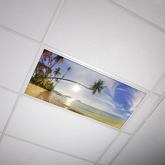 Octo Lights - Fluorescent Light Covers - 2x4 Flexible Ceiling Light Filters - For Classrooms and Offices - Beach 006
