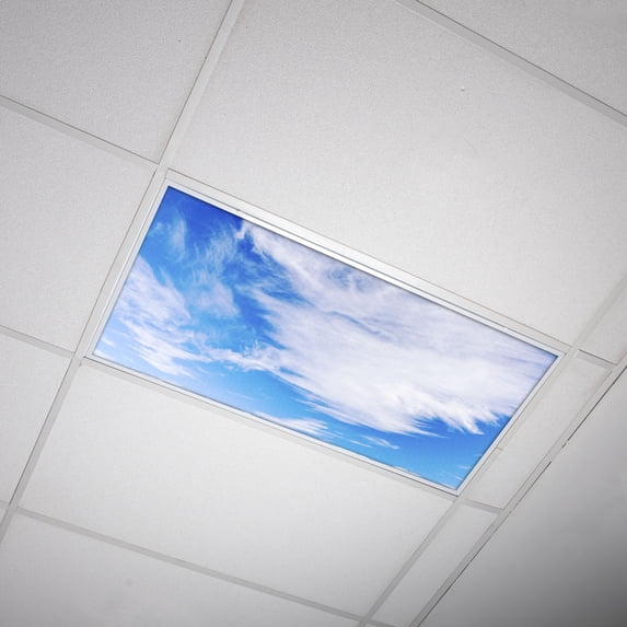 Octo Lights - Fluorescent Light Covers - 2x4 Flexible Ceiling Light Filters - For Classrooms and Offices - Cloud 003
