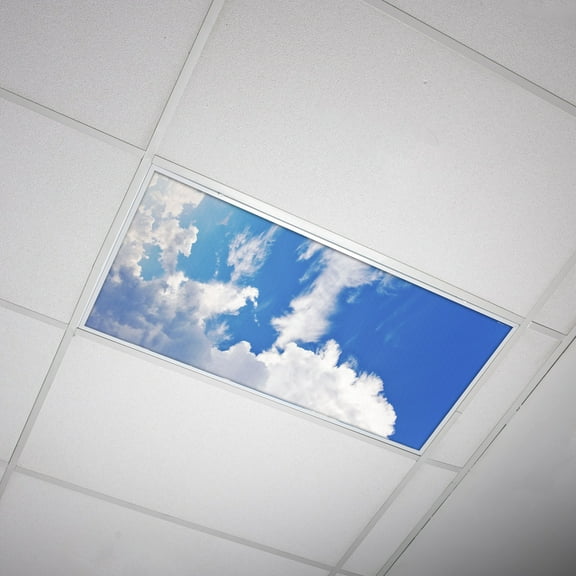 Octo Lights - Fluorescent Light Covers - 2x4 Flexible Ceiling Light Filters - For Classrooms and Offices - Cloud 009