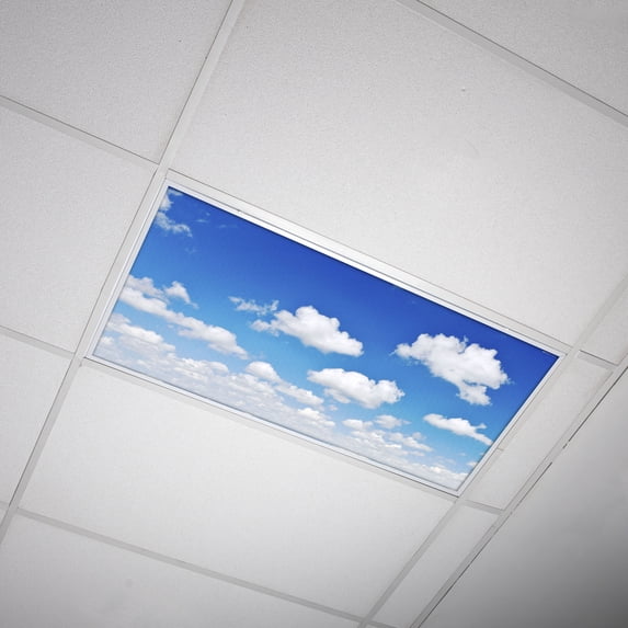 Octo Lights - Fluorescent Light Covers - 2x4 Flexible Ceiling Light Filters - For Classrooms and Offices - Cloud 011