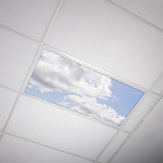 Octo Lights - Fluorescent Light Covers - 2x4 Flexible Ceiling Light Filters - For Classrooms and Offices - Cloud 013