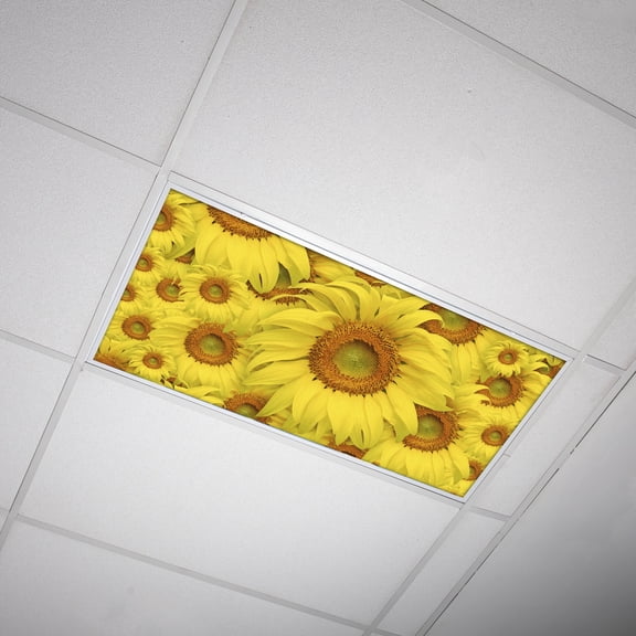 Octo Lights - Fluorescent Light Covers - 2x4 Flexible Ceiling Light Filters - For Classrooms and Offices - Flower 001