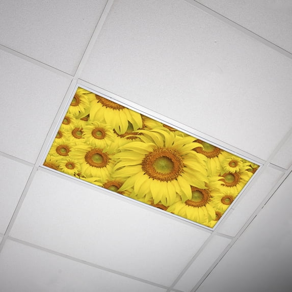 Octo Lights - Fluorescent Light Covers - 2x4 Flexible Ceiling Light Filters - For Classrooms and Offices - Flower 001