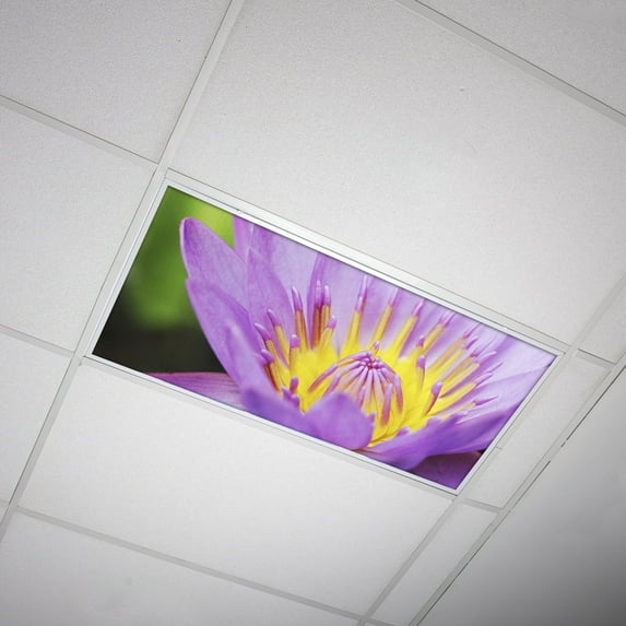 Octo Lights - Fluorescent Light Covers - 2x4 Flexible Ceiling Light Filters - For Classrooms and Offices - Flower 003