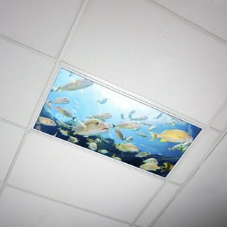 Fluorescent light best sale covers walmart