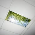 thumbnail image 1 of Octo Lights - Fluorescent Light Covers - 2x4 Flexible Ceiling Light Filters - For Classrooms and Offices - Tree 006, 1 of 7