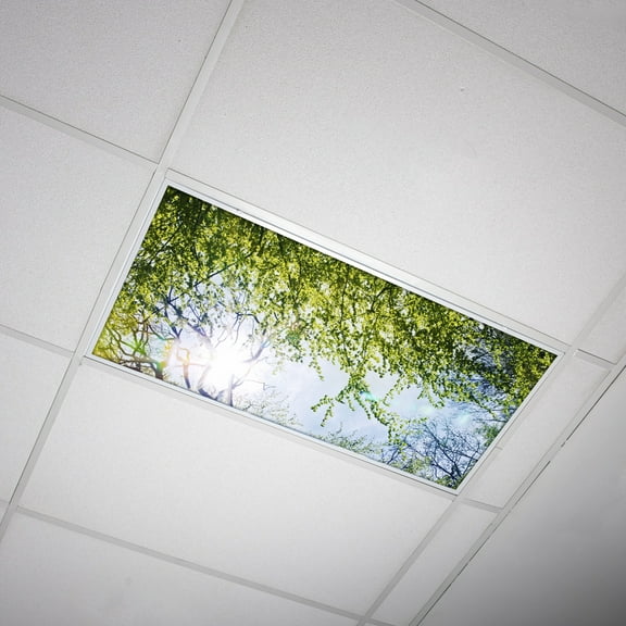 Octo Lights - Fluorescent Light Covers - 2x4 Flexible Ceiling Light Filters - For Classrooms and Offices - Tree 006