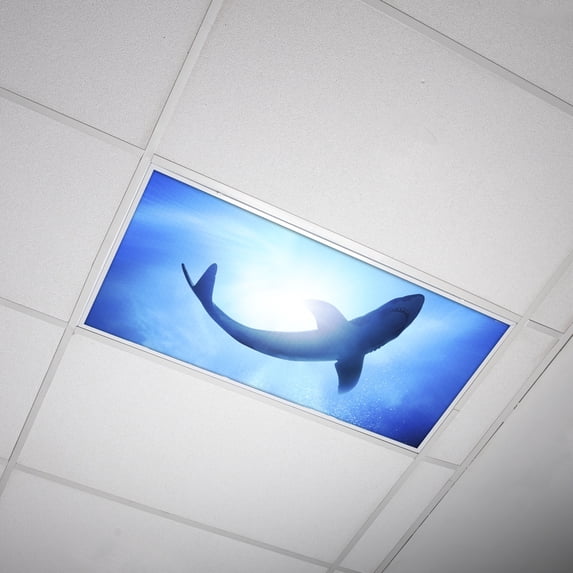 Octo Lights Fluorescent Light Covers for Classroom Office - Eliminate Harsh Glare Causing Eyestrain and Headaches. Office & Classroom Decorations - Ocean 007