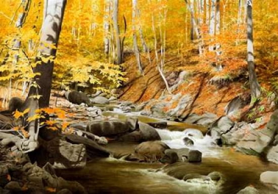 October Creek Canvas Art - Alexander Volkov (20 x 28)