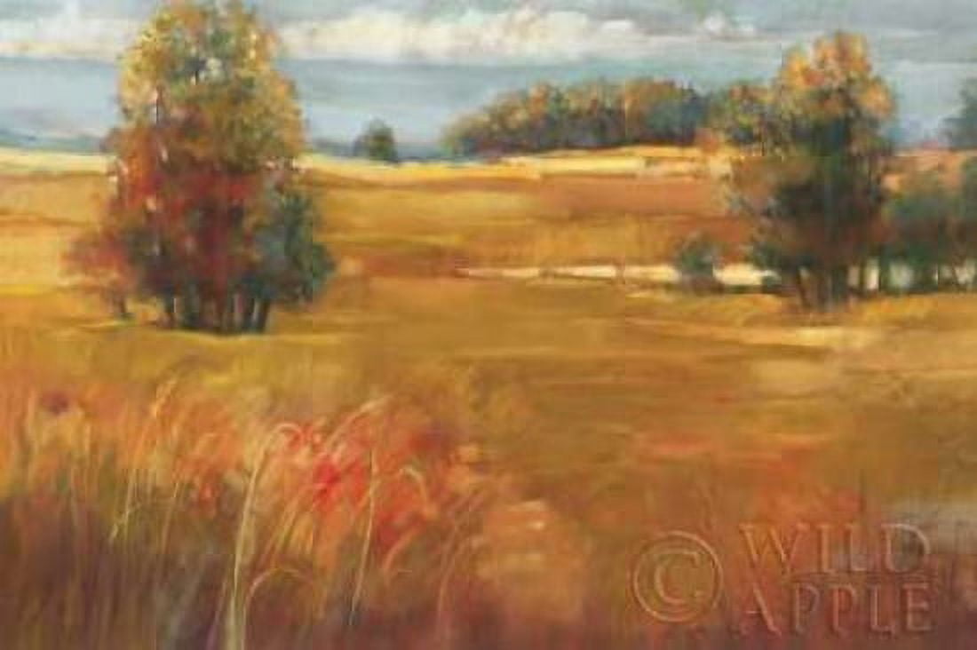 October Light Canvas Art - Carol Rowan (12 x 18)