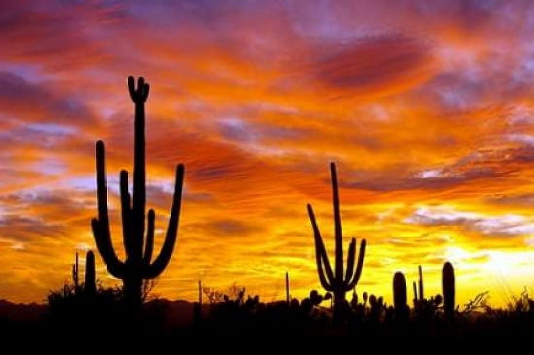 October Sunset Canvas Art - Douglas Taylor (24 x 36)