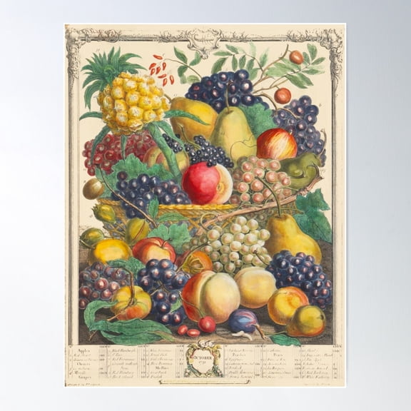 October, From The Twelve Months Of Fruits, By Robert Furber (1732) High Definition Poster Wall Art, Modern Wall Decor For Living Room Bedroom, 24x36 UNFRAMED