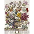 thumbnail image 1 of October - Twelve Months of Flowers Poster Print by Robert Furber, 1 of 2