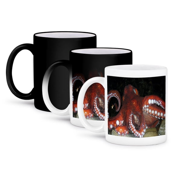 3dRose, Octopus, 11oz Magic Transforming Mug