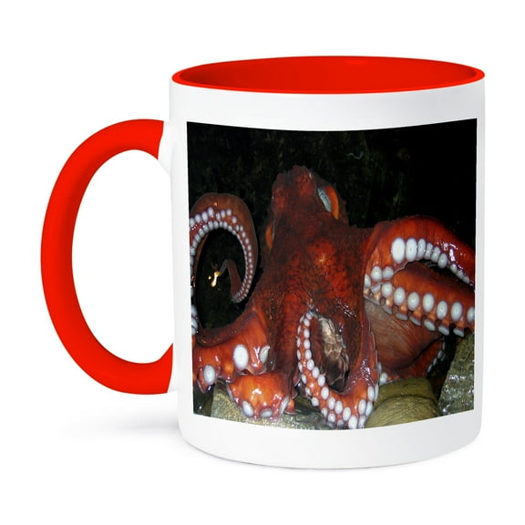3dRose, Octopus, 11oz Two-Tone Red Mug