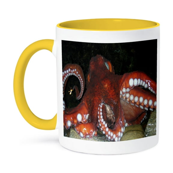 3dRose, Octopus, 11oz Two-Tone Yellow Mug