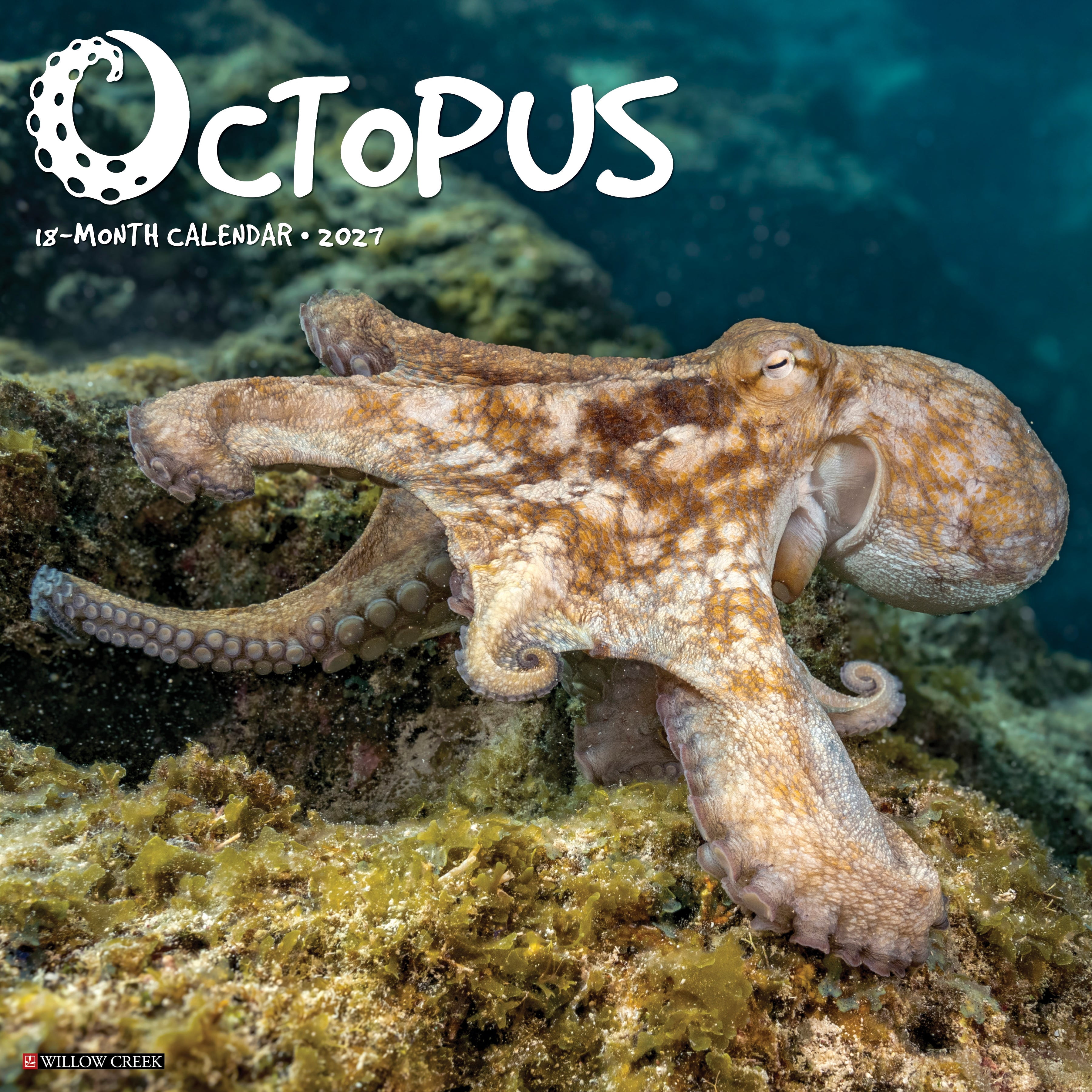 Willow Creek Press, Octopus 2027 Wall Calendar