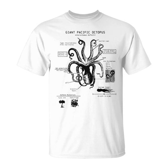 Octopus Anatomy Tshirt Walmart