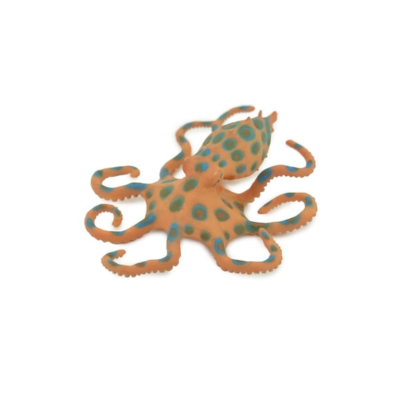 Octopus, Blue-ringed octopuses, Octopodes, Octopoda,Museum Quality, Hand Painted, Hard Rubber, Realistic, Model, Replica, Kids, Educational, Gift, 4 1/2" CH299 BB181