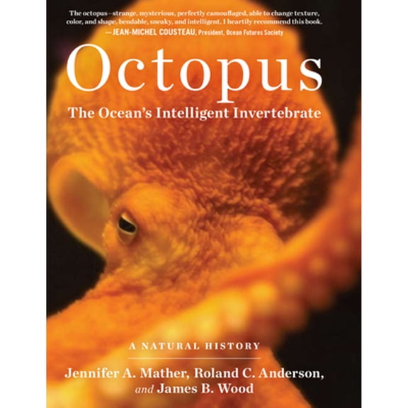 Pre-Owned Octopus: The Ocean's Intelligent Invertebrate (Hardcover) 1604690674 9781604690675