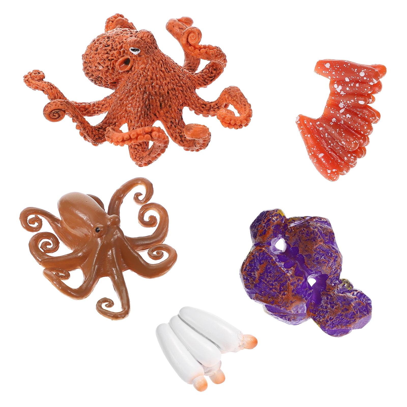 Octopus Life Cycle Set Growth Model Growth Diary Figures Model Educational Biology Science Toys
