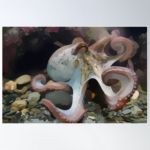 Octopus Modern Vector Nature Art Poster Wall Art, Modern Wall Decor For Living Room Bedroom, 8x12 UNFRAMED