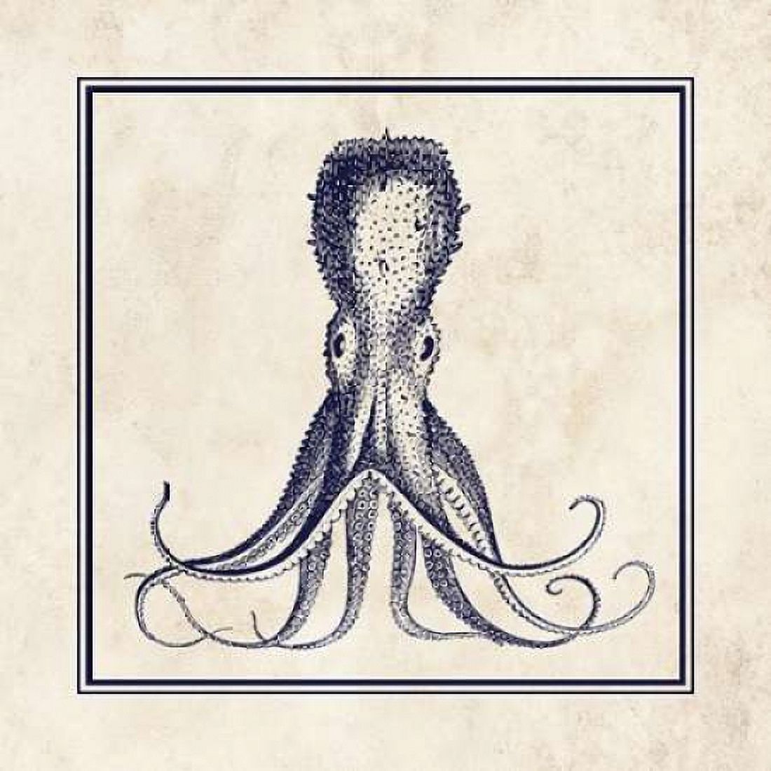 Octopus Sq Canvas Art - N Harbick (24 x 24)