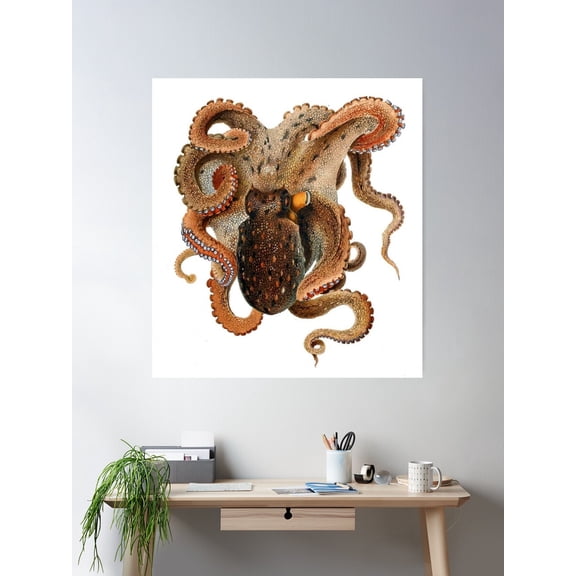 Octopus Vulgaris White Spotted Octopus €“ 1896 Vintage Poster Antique Poster Wall Art, Modern Wall Decor For Living Room Bedroom, 16x24 UNFRAMED