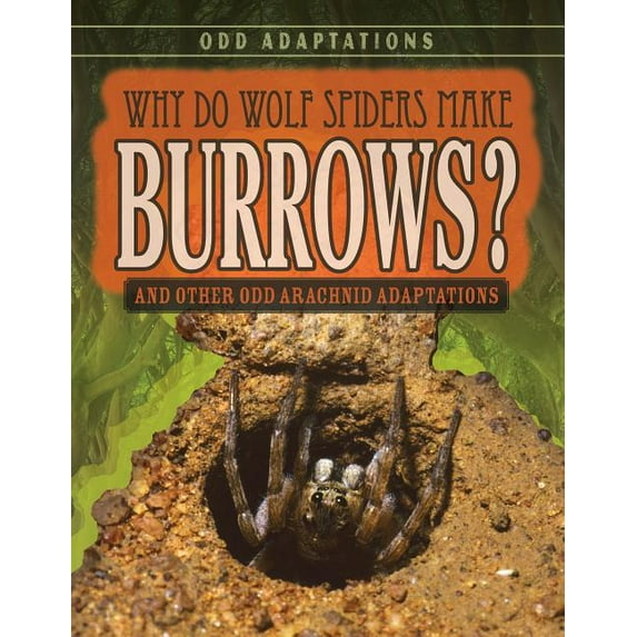 Odd Adaptations: Why Do Wolf Spiders Make Burrows? : And Other Odd Arachnid Adaptations (Paperback)